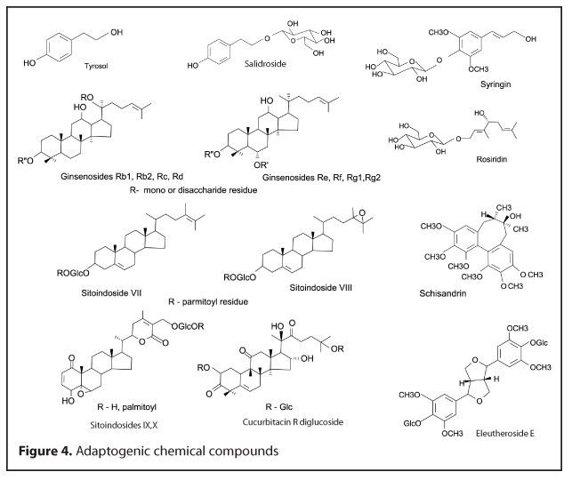 adaptogen research glutathione Unlocking nature's potential: The power of adaptogens in enhancing modern health and wellness Liposomal Glutathione 50 mL