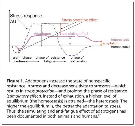 Adaptogens: A Review of their History, Biological Activity, and Clinical Benefits